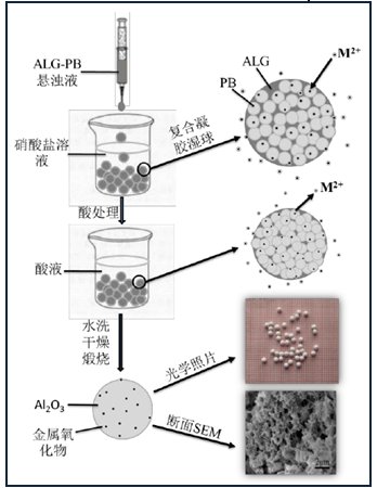 粒度儀網首頁 > 資訊朱士貞利用海藻酸與擬薄水鋁石的凝膠特性,製備了